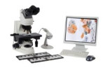 Microscopy next to computer
