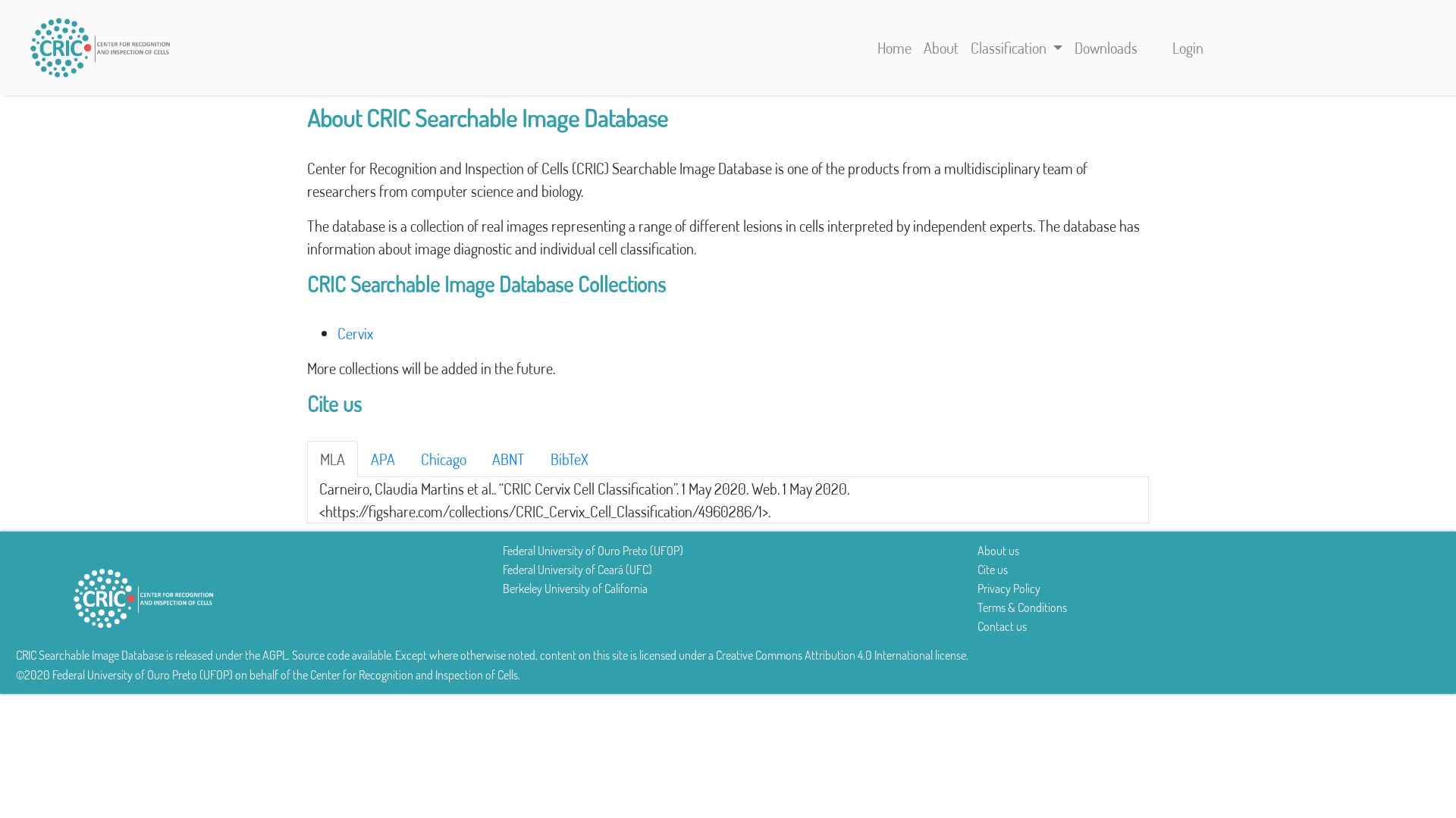 Screenshot of About page