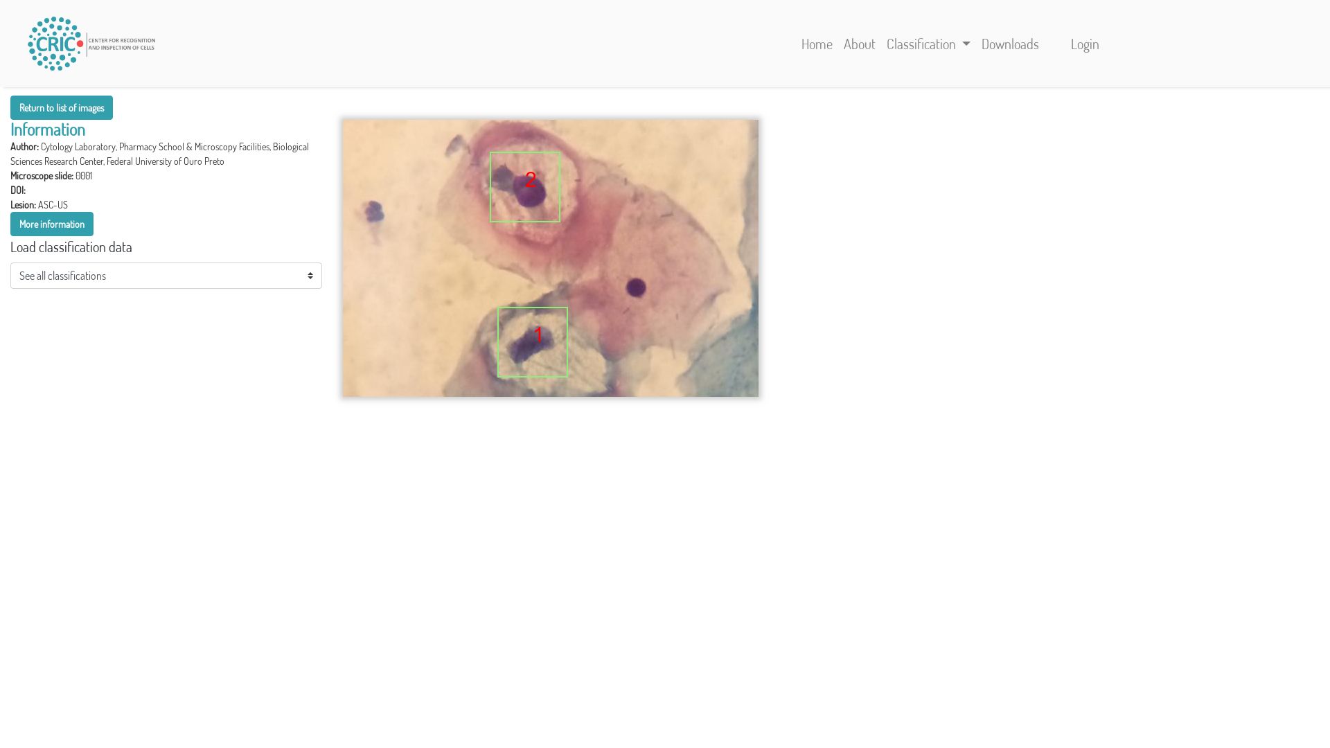 Screenshot of Classification Details for cytopatologyst
